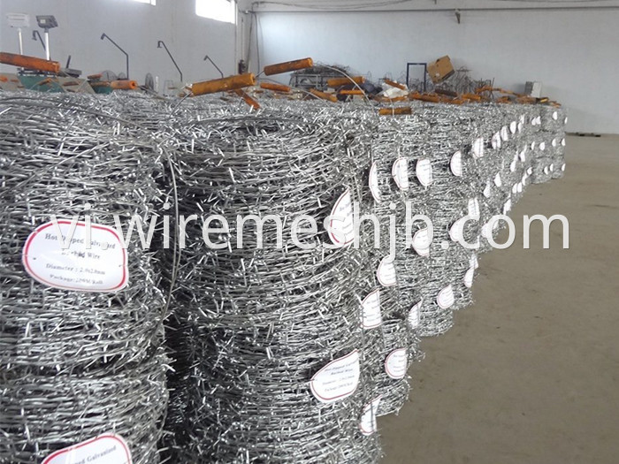 Galvanised Barbed Wire